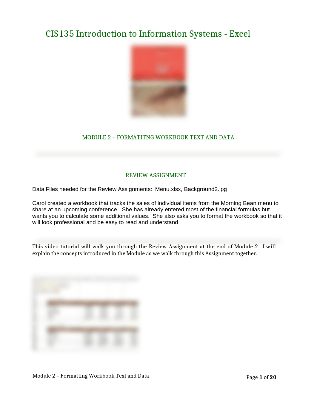 CIS135 Excel Module 2.docx_d2iqe0196y8_page1