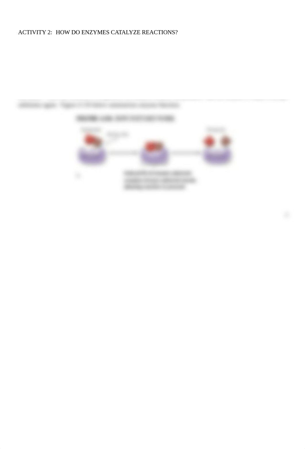 Lab 3 ENZYMES fall 2020 (1).docx_d2iqjc889y0_page2