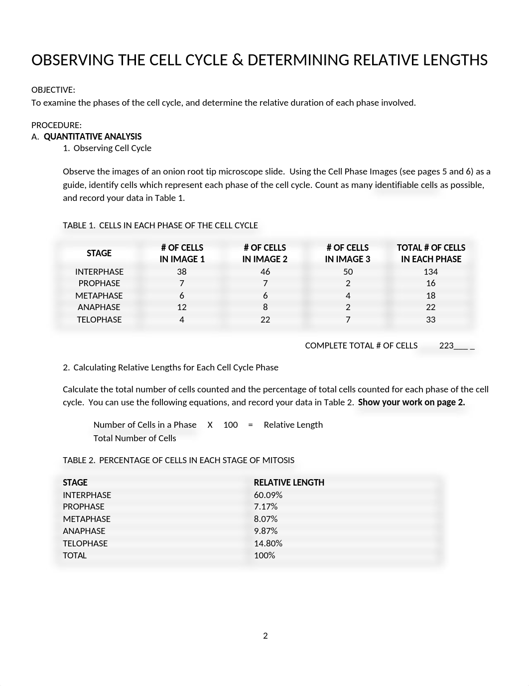 mitosis worksheet.docx_d2ir3s3jmhr_page2