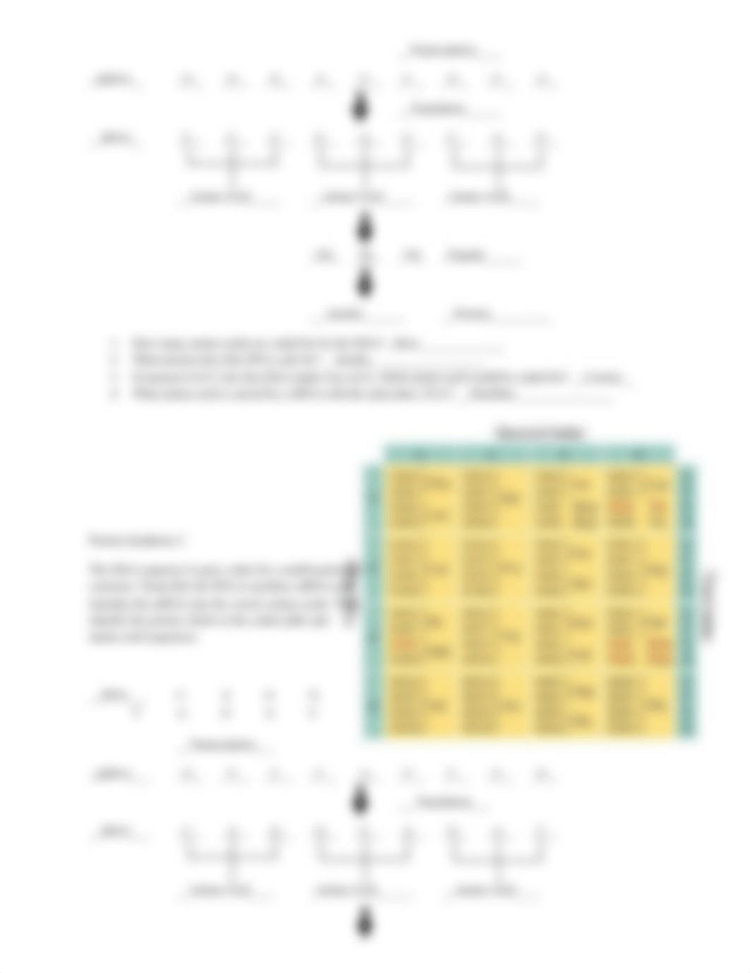 Drag and drop transcription translation KEY.docx_d2isslo4yz8_page2