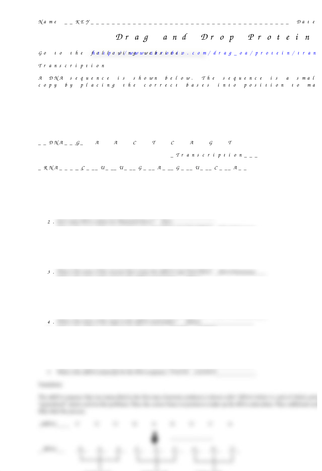 Drag and drop transcription translation KEY.docx_d2isslo4yz8_page1