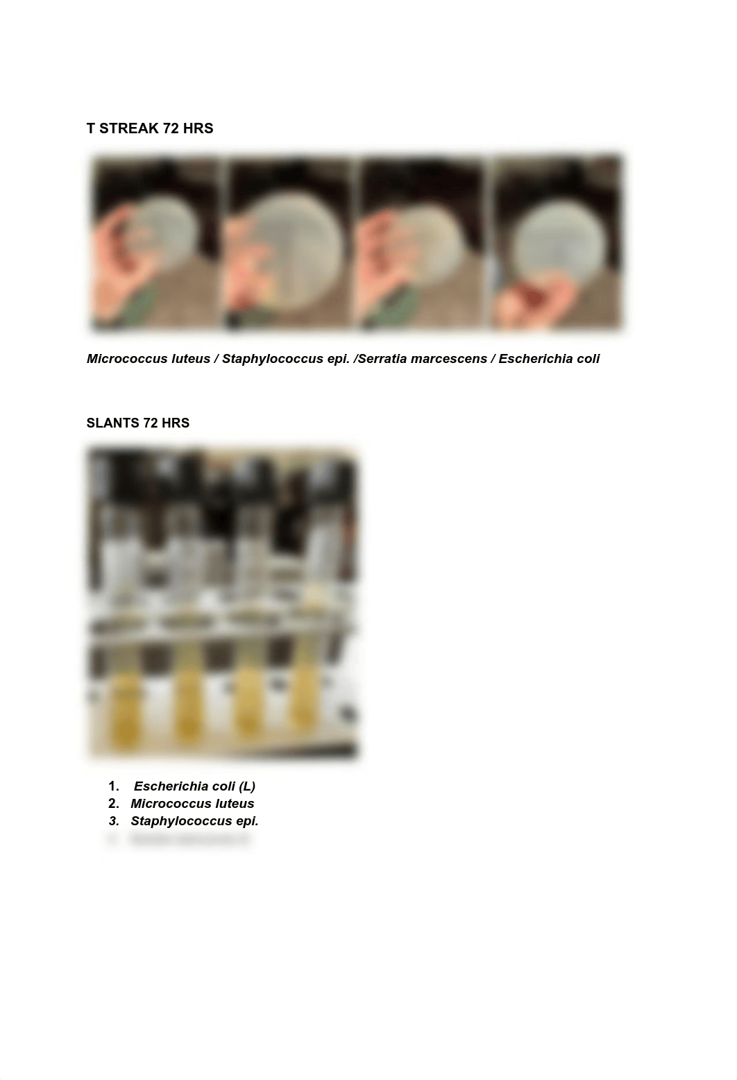 Aseptic Technique and Use of Media.pdf_d2j3q5g123i_page5