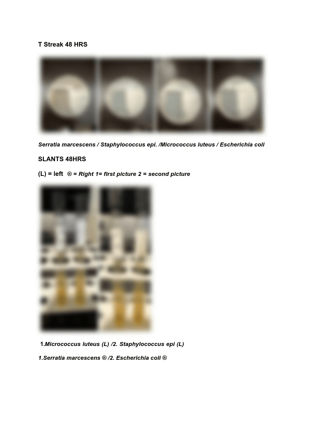 Aseptic Technique and Use of Media.pdf_d2j3q5g123i_page3