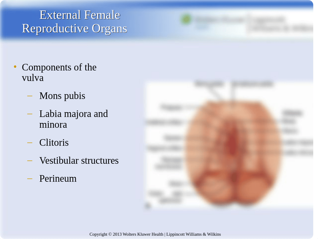 R3E PPT Ch3S SCA_d2j8coswk0a_page4