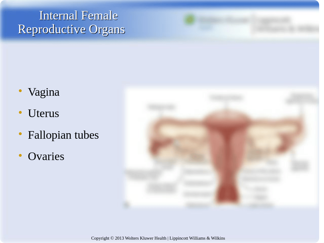 R3E PPT Ch3S SCA_d2j8coswk0a_page5