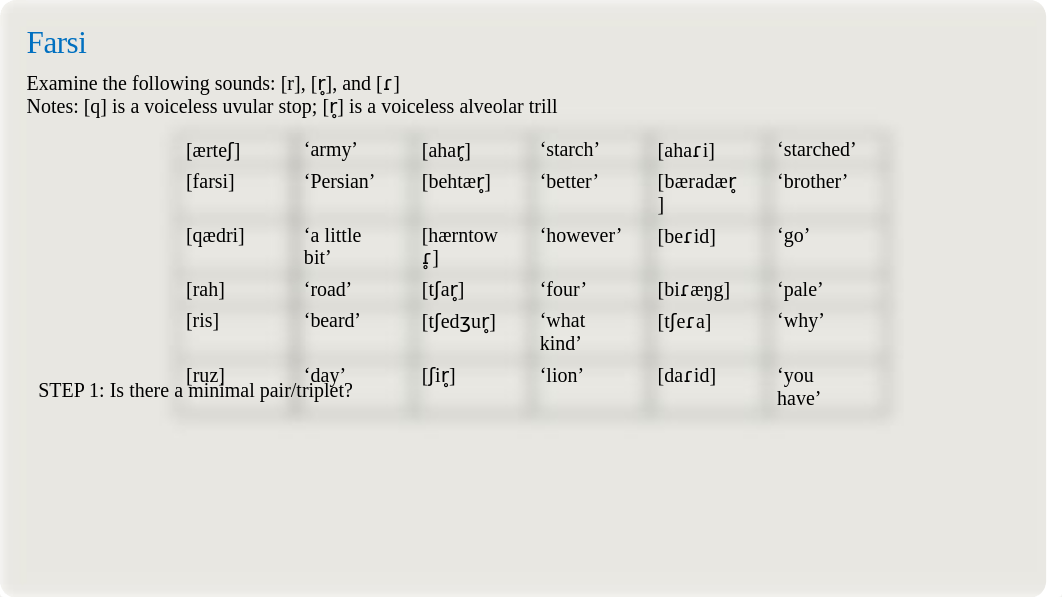 Zoom - Phonemic Analysis.pptx_d2jgby3n1z3_page3