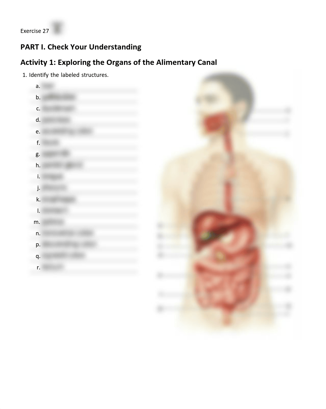 13. Unit 13 laboratory exercise 28 - Andrew Sims.pdf_d2joa6l4cms_page1