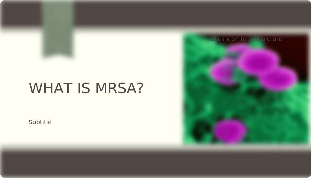 MRSA .pptm_d2jrw3mki37_page1