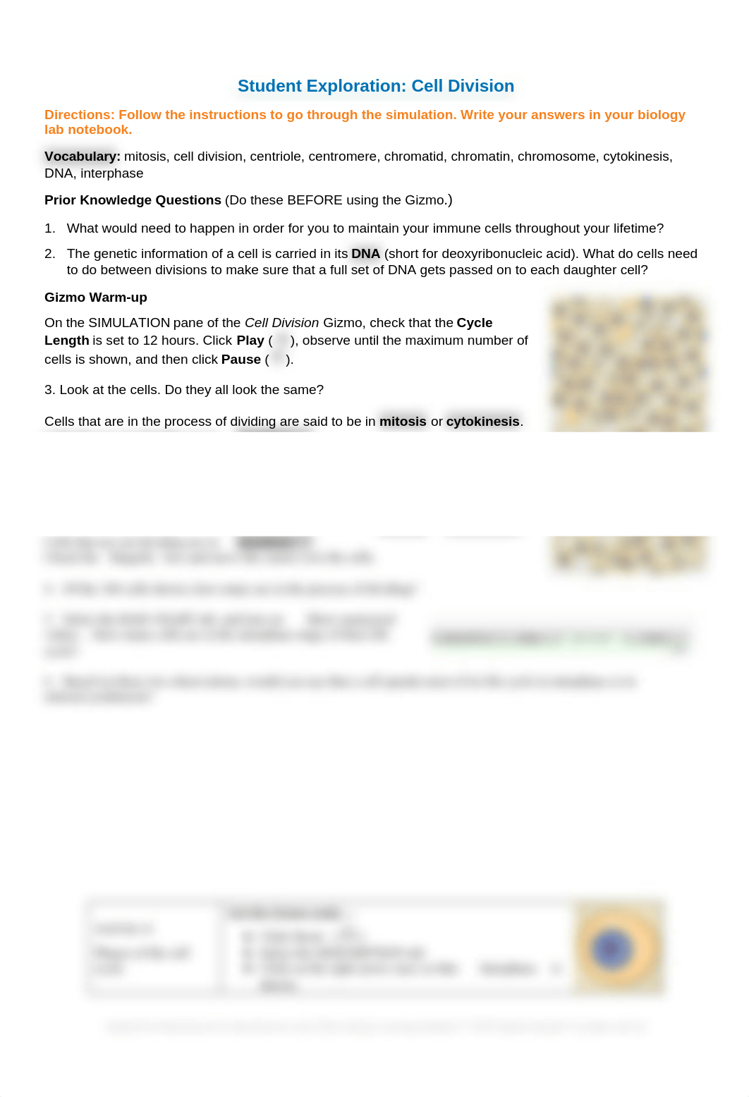 Cell+Division+Mitosis+Gizmo+Worksheet+-+Student.docx_d2jw0clr7vu_page1