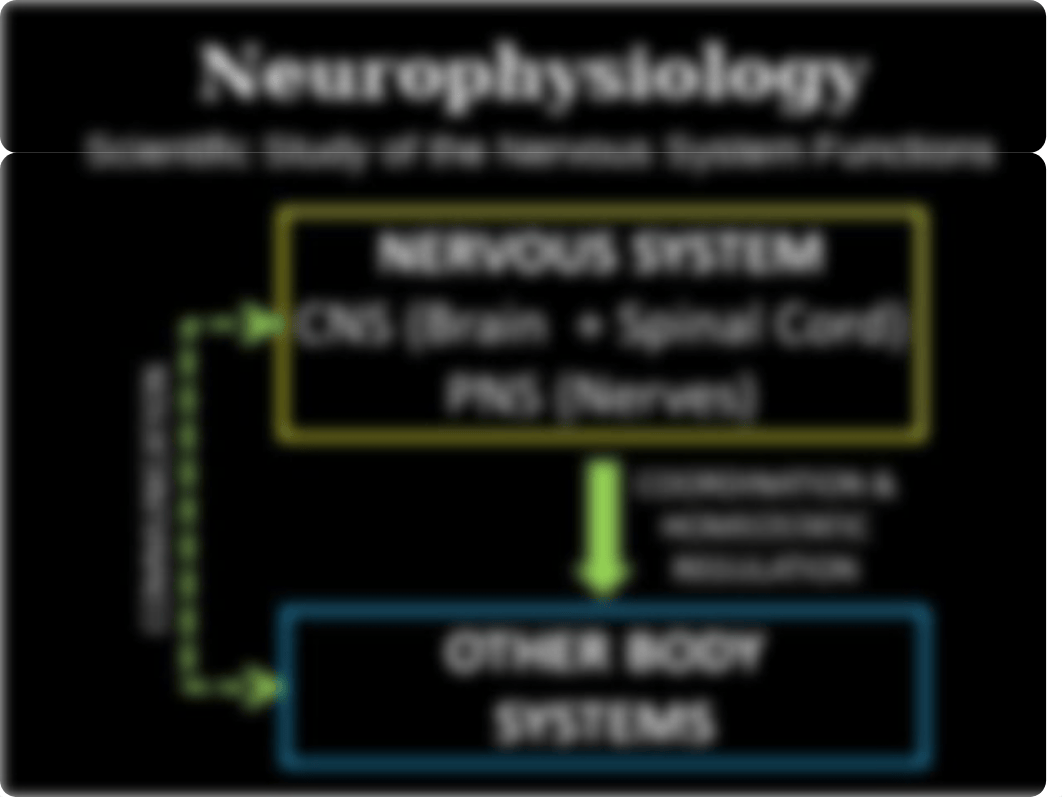 Neurophysiology, REVISED 2019(1).pptx_d2k0iw7wffe_page3