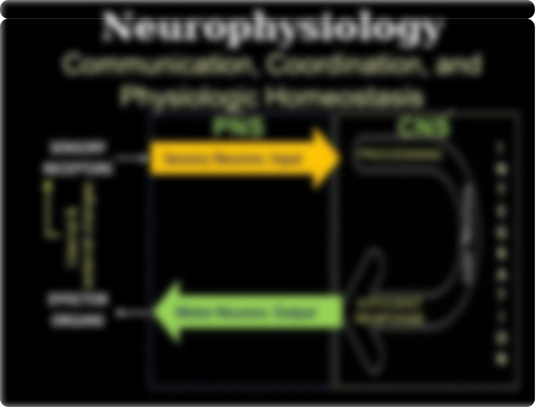 Neurophysiology, REVISED 2019(1).pptx_d2k0iw7wffe_page4