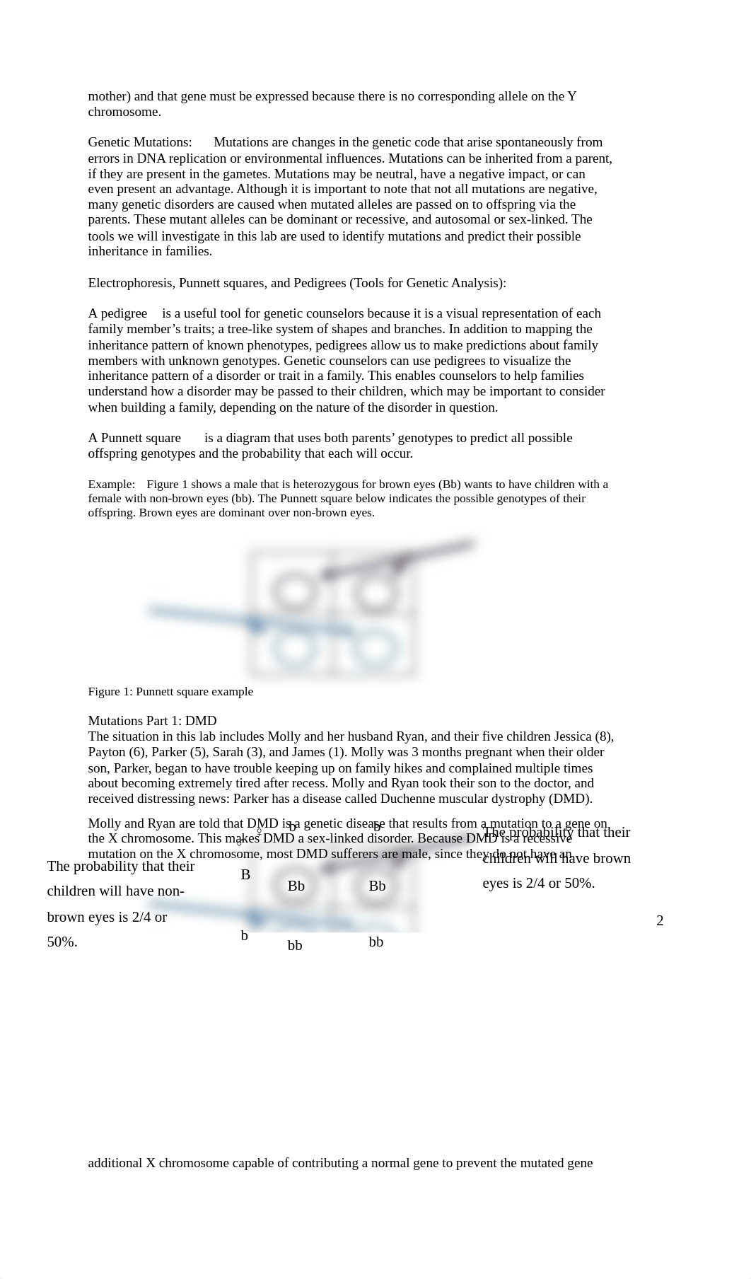 BI 102 LAB 2 F17.pdf_d2k2xuqqmhm_page2