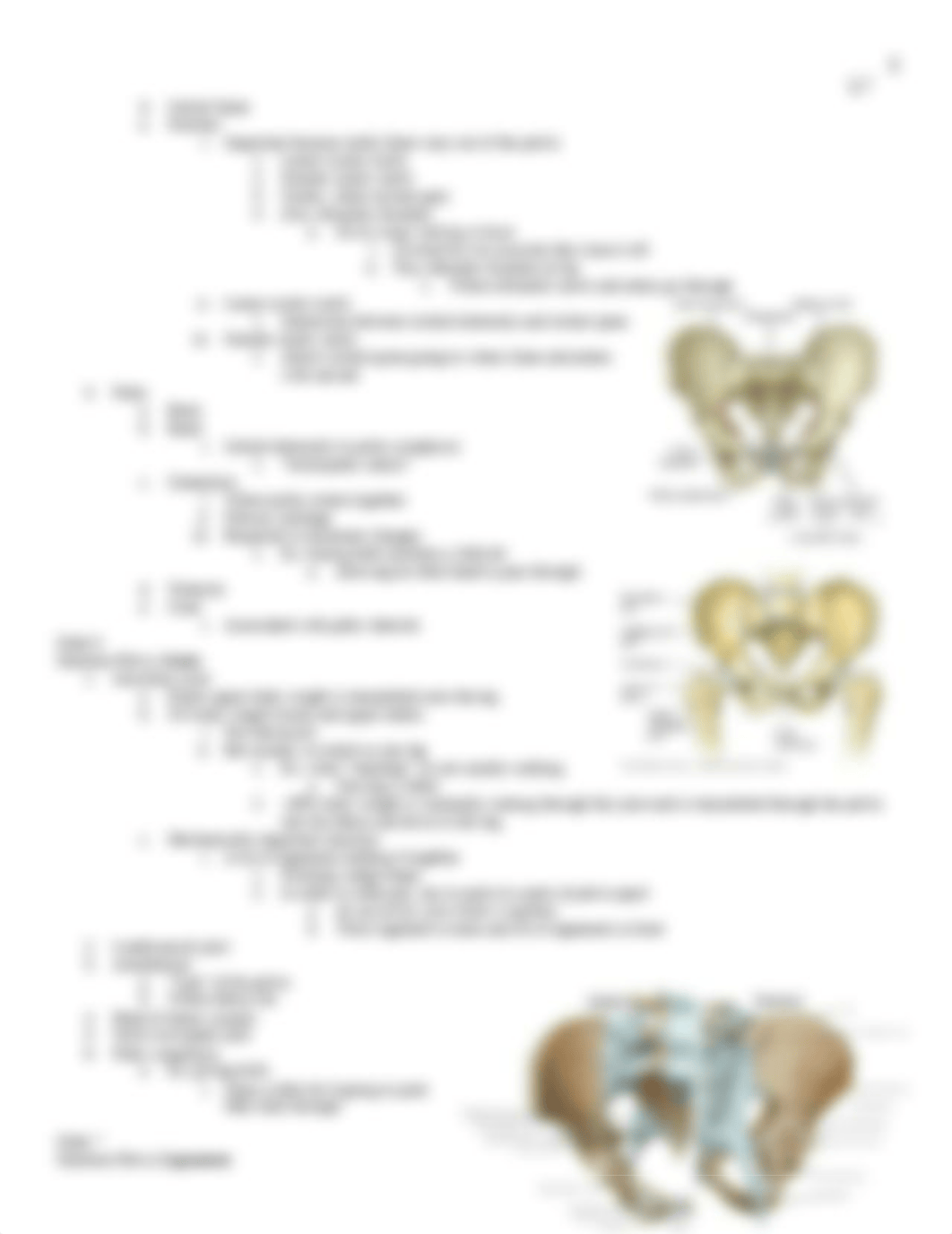 2018-2019 Anat Lecture 7 - Thigh, Knee, _ Gluteal Region.docx_d2k5rra1a1x_page3