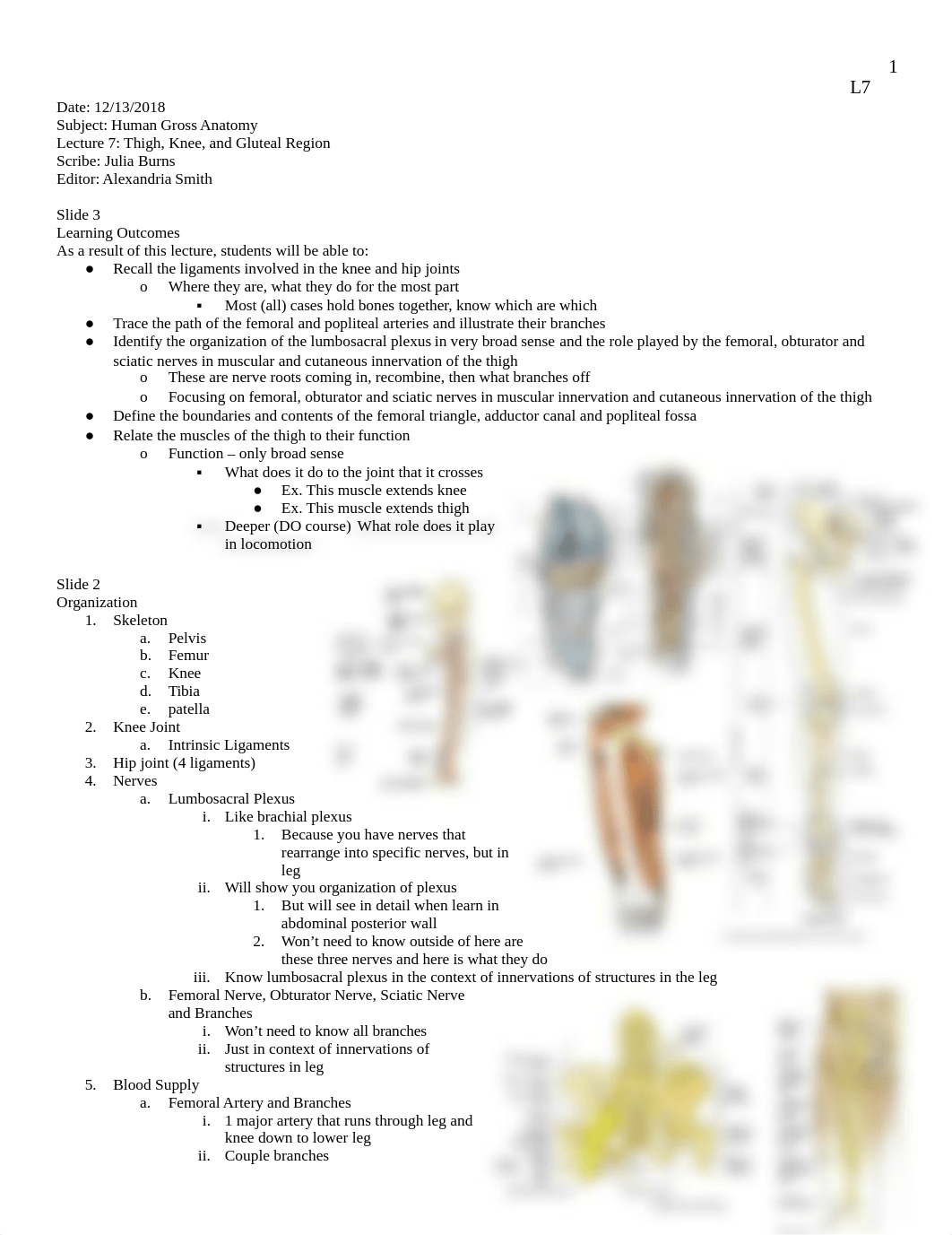 2018-2019 Anat Lecture 7 - Thigh, Knee, _ Gluteal Region.docx_d2k5rra1a1x_page1