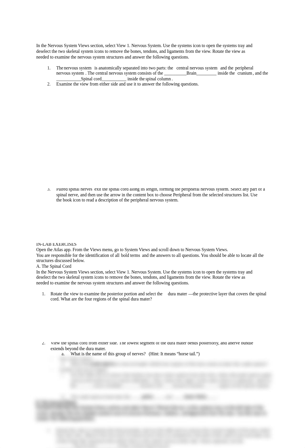 spinal cord lab (1).docx_d2k61sv207k_page1