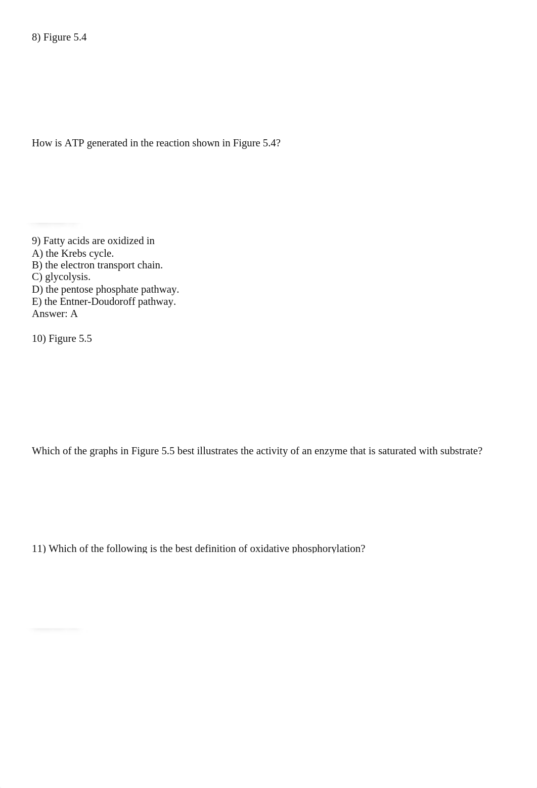 Chapter 5.docx_d2k6fkzoiu2_page3