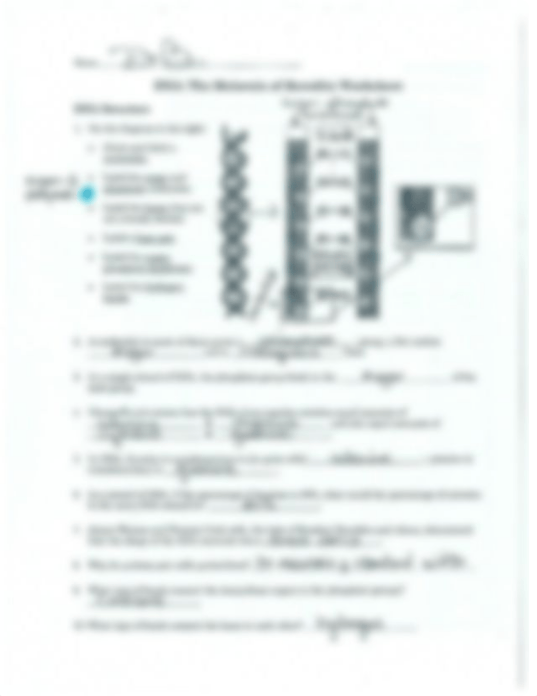 DNA Key.pdf_d2k7xw64g55_page1