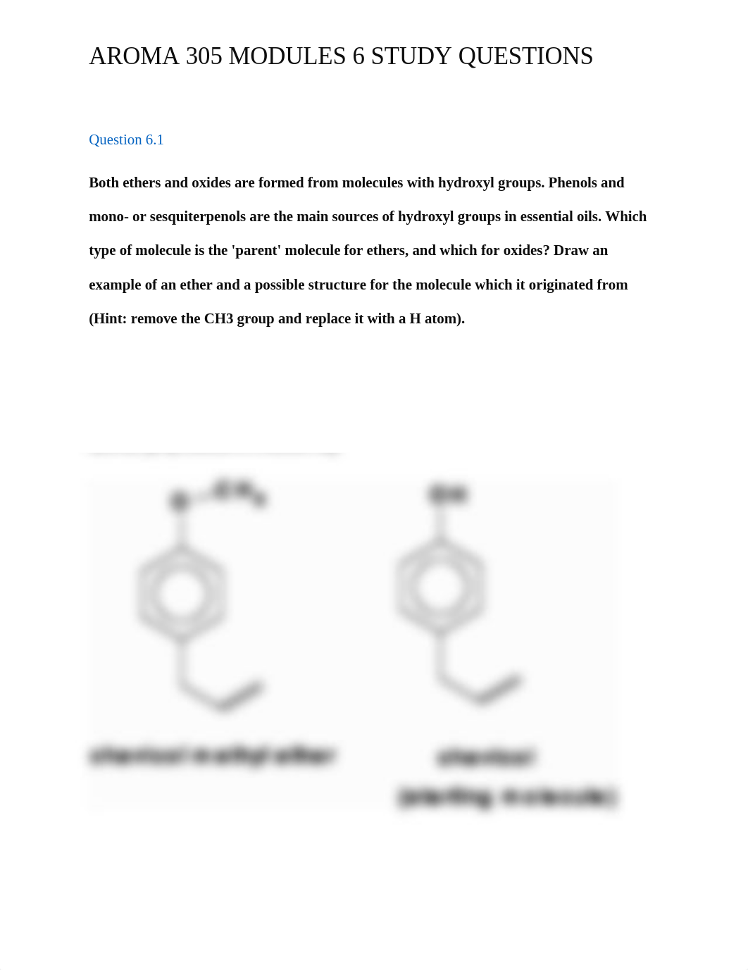 AROMA 305 MODULE 6 STUDY QUESTIONS_d2kadsm615w_page1