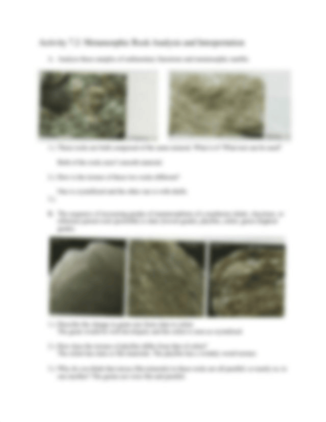 Metamorphic Lab.docx_d2kdp3i0out_page3