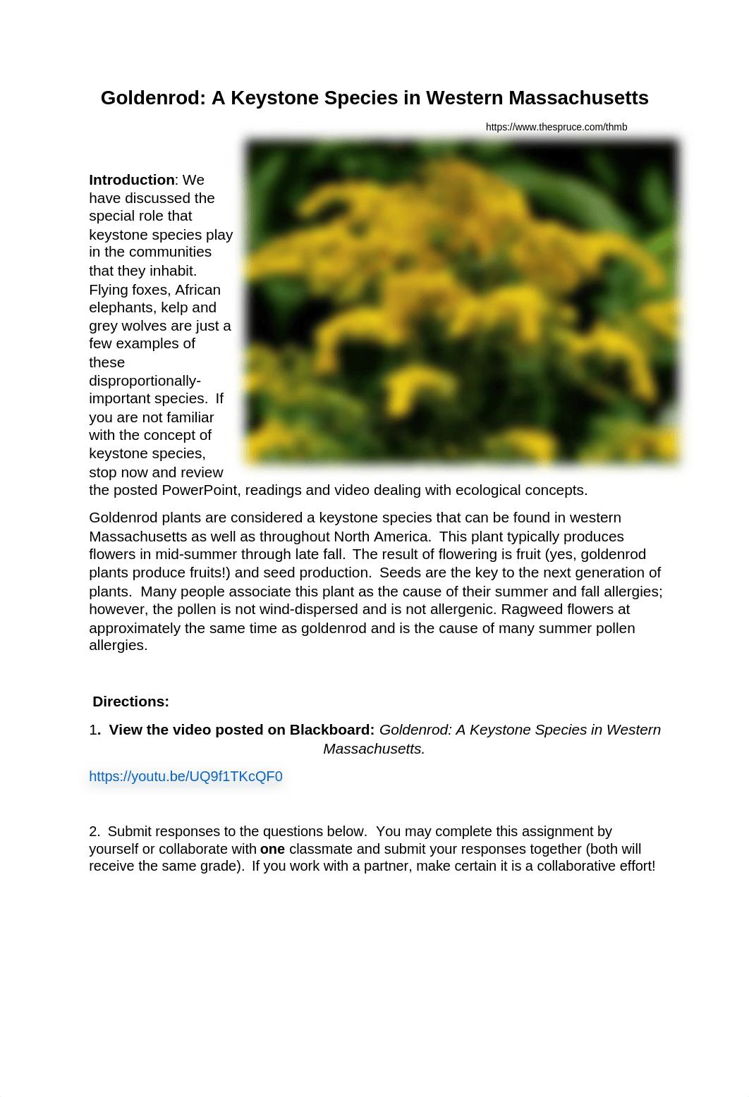 Goldenrod Activity(1).docx_d2kic2s8fnp_page1