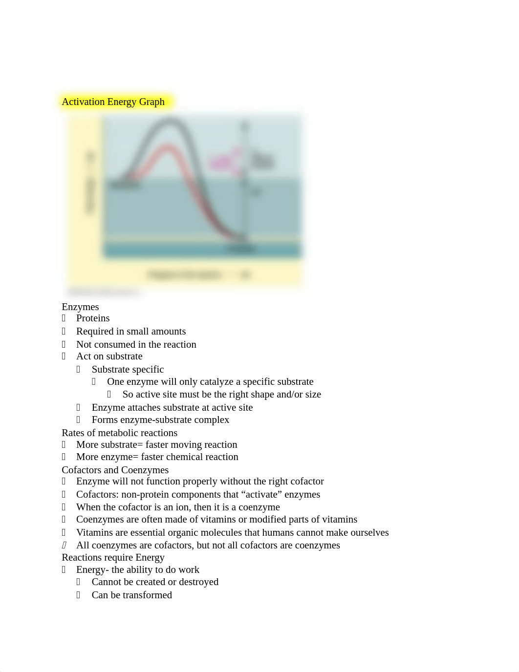 AnatomyStudyGuide2_d2kil732ld0_page2