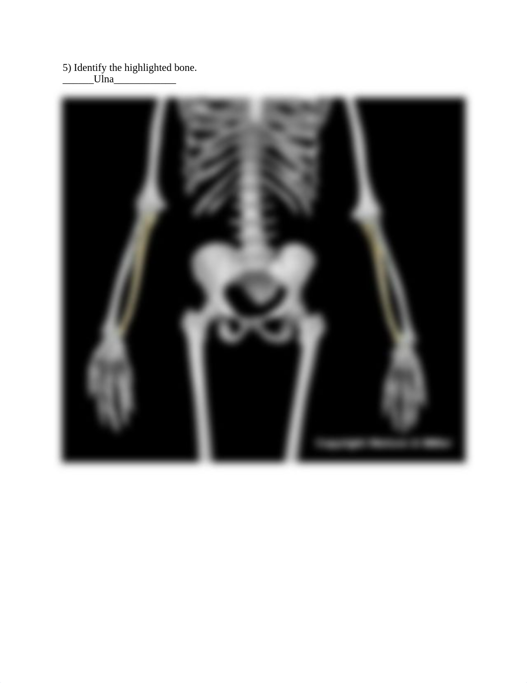 12_upper_limb_skeletal_anatomy_Worksheet.docx_d2ktb8ub5gv_page5