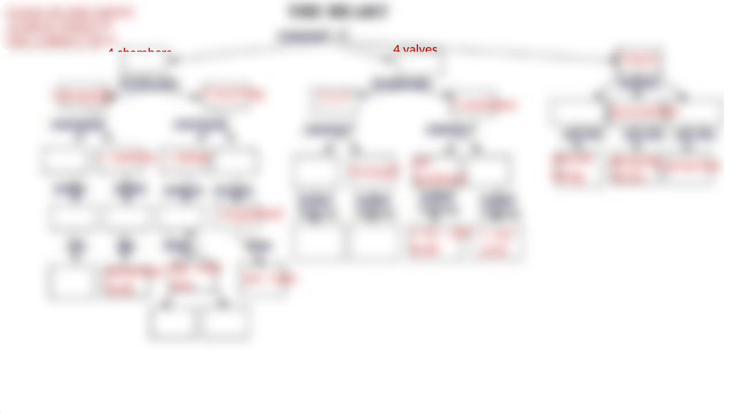 Heart concept map take 2.pptx_d2kvx4bcxmv_page2