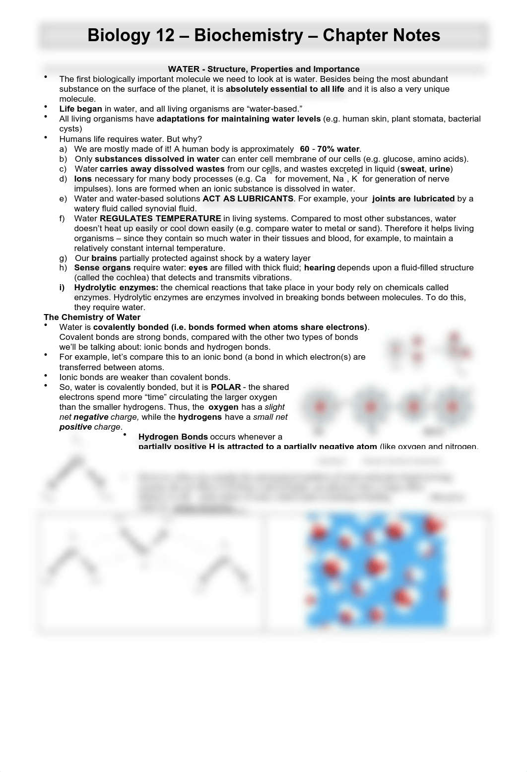 Notes - Biological Molecules_d2kzijr3h9s_page1