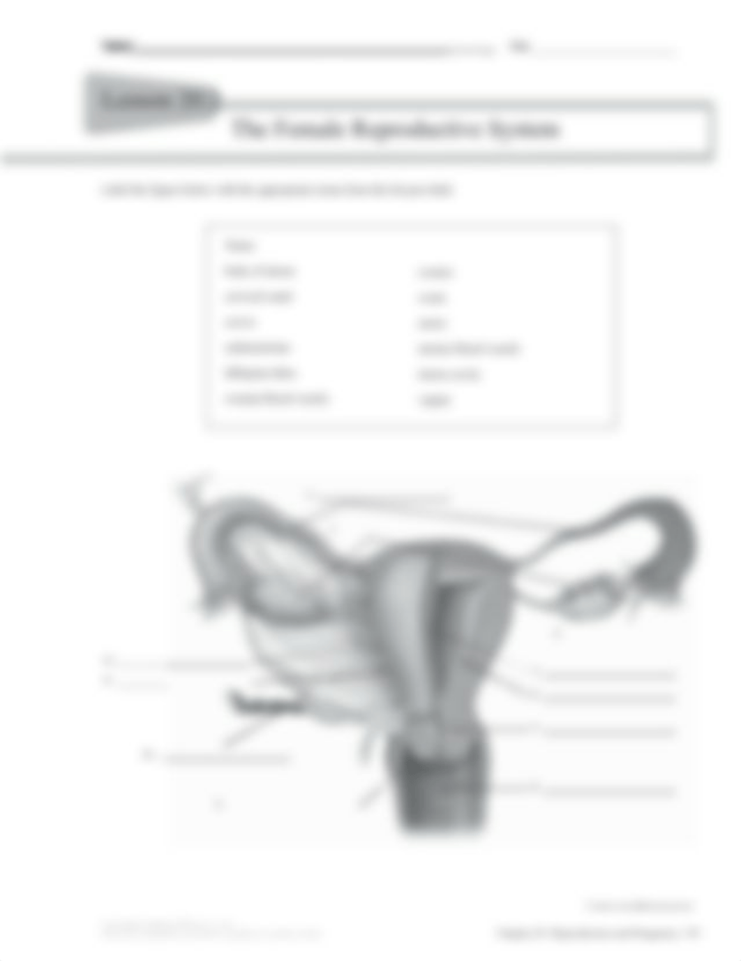 Chapter 20 Workbook-1 (1).pdf_d2kzrlhwxbq_page3