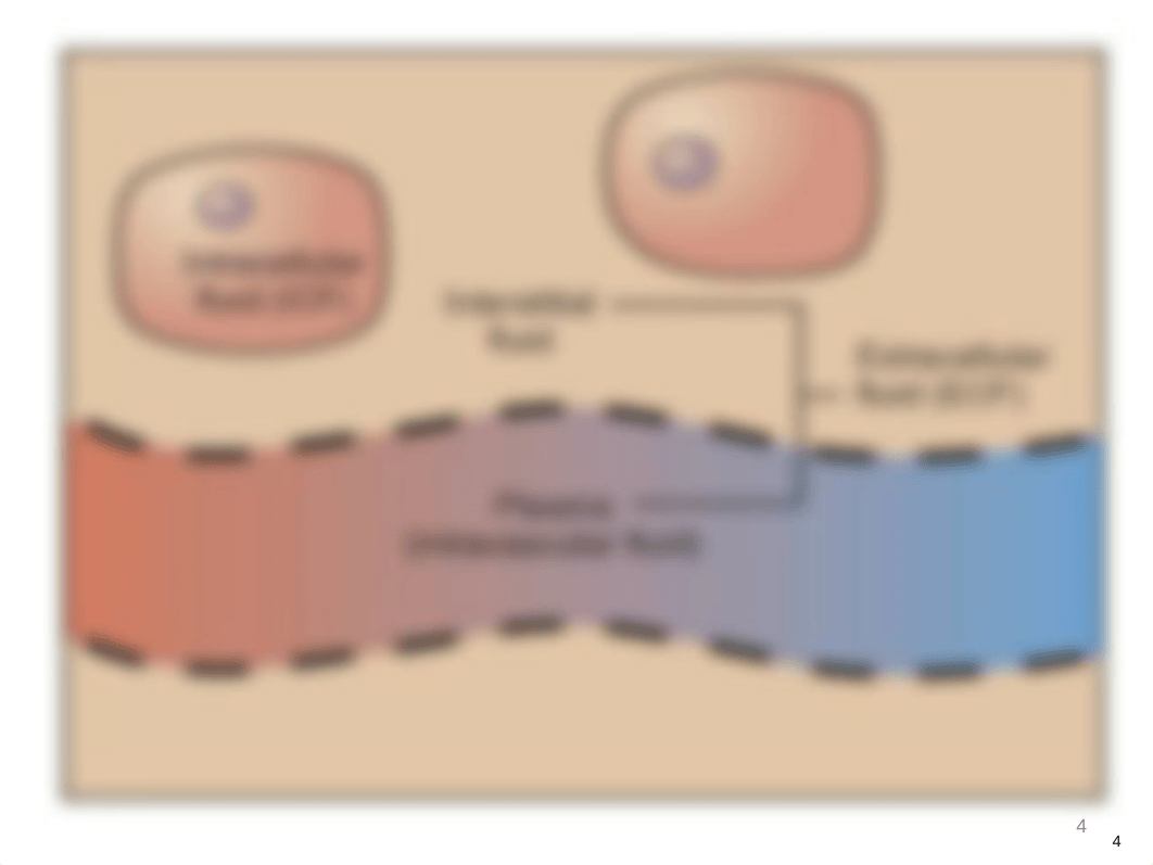 student_Fluid_Electrolytes.pptx_d2lk0i49x46_page4