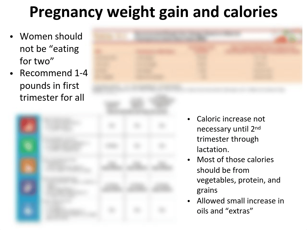 BIOS 190 - Lecture 7 - Prenatal nutrition.pdf_d2m39h5chrj_page3