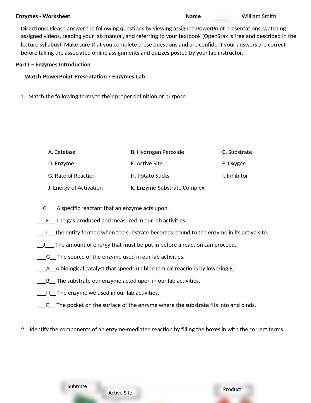 Enzymes Worksheet Biology .docx_d2mcuveftu4_page1