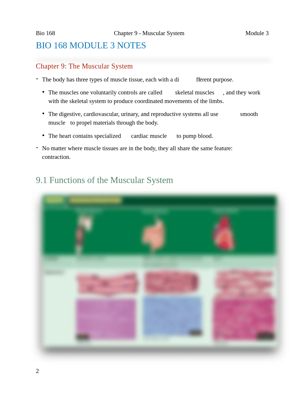 BIO 168 MODULE 3 NOTES Chapter 9: The Muscular System.pdf_d2mlk8op4sq_page2