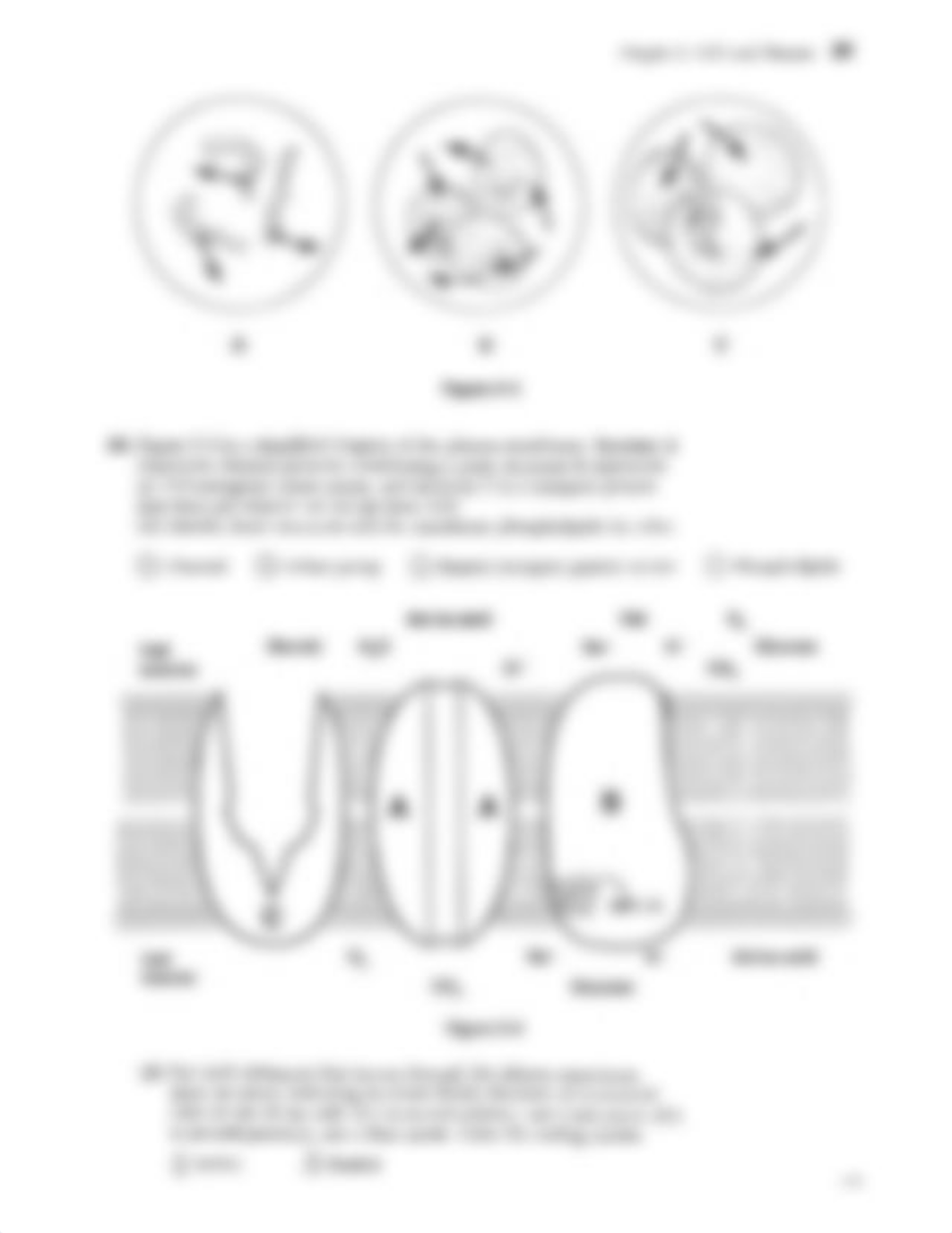 Chapter+3+Cells+and+Tissues.pdf_d2mpglz1ie6_page4