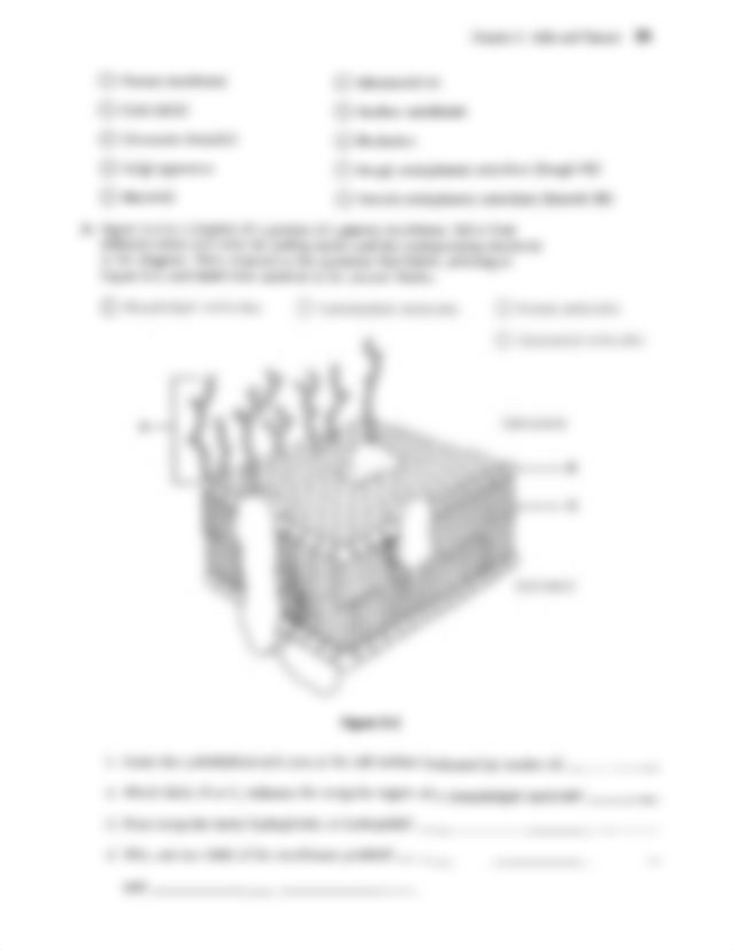 Chapter+3+Cells+and+Tissues.pdf_d2mpglz1ie6_page2