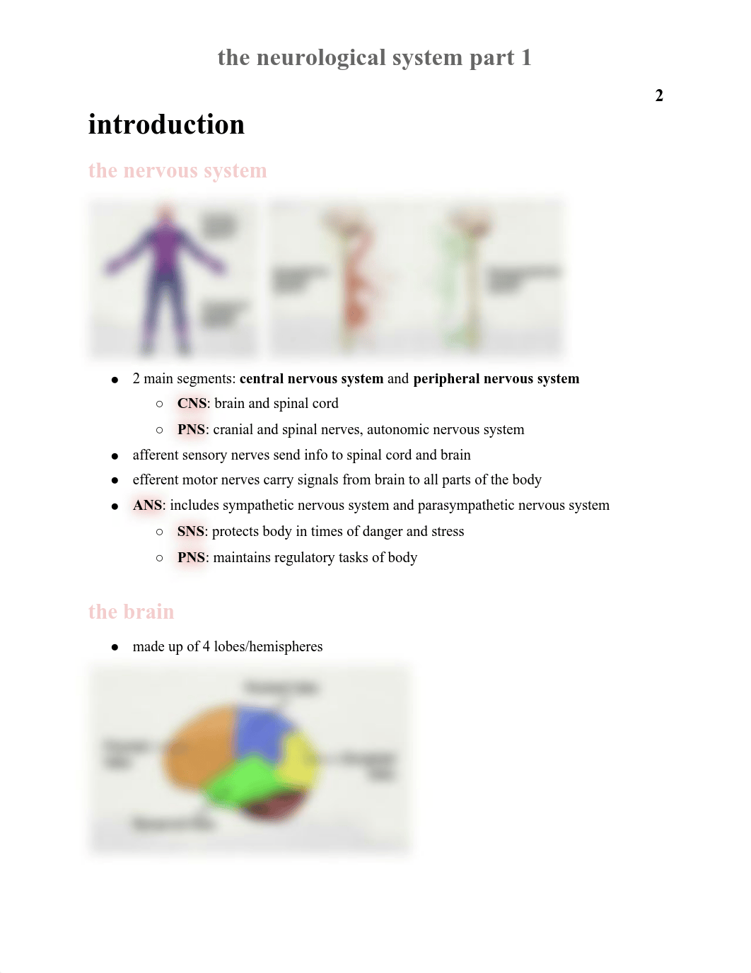 neurological system part 1 module.pdf_d2muwhstt35_page2