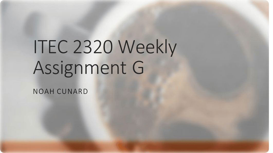 ITEC 2320 Weekly Assignment G template (4).pdf_d2mv2d23k42_page1