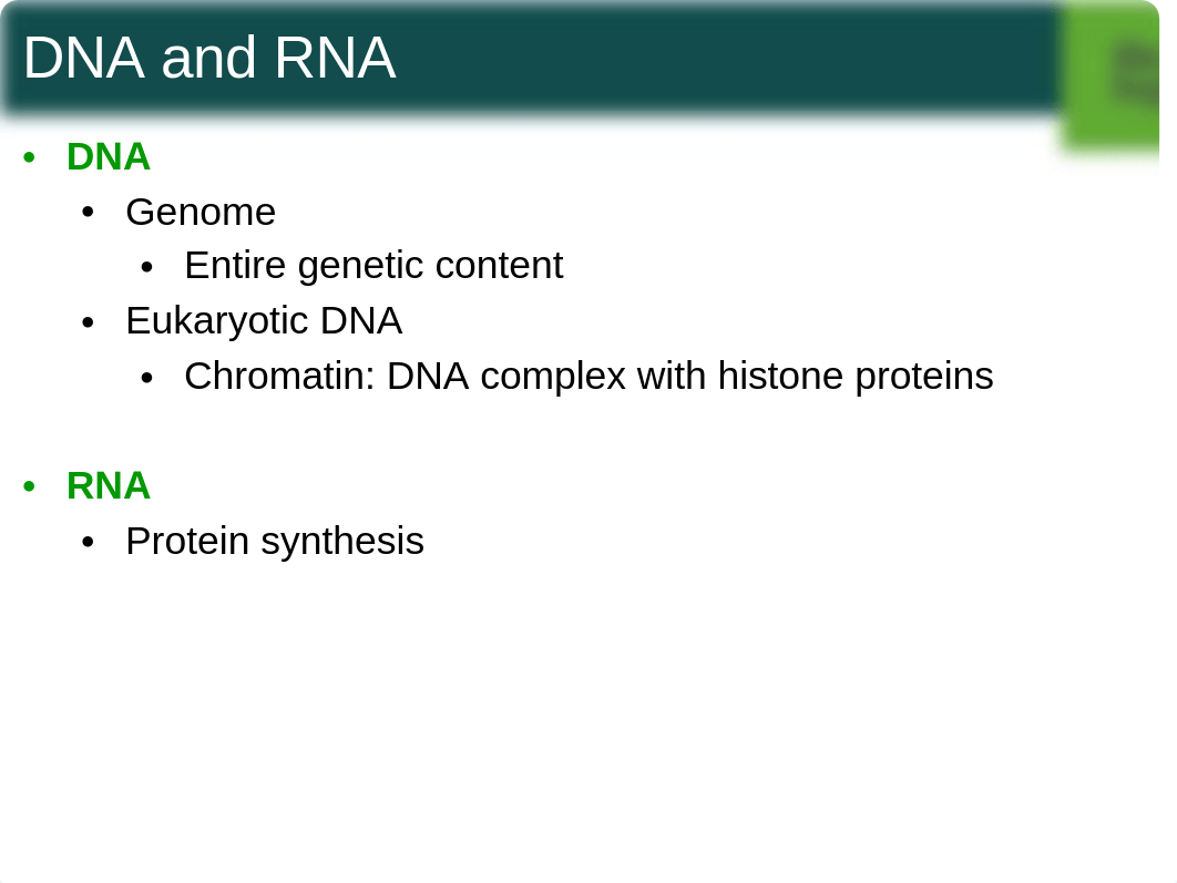 4+Ch,+Cell+Structure+student+f15_d2n3nyxeadt_page2