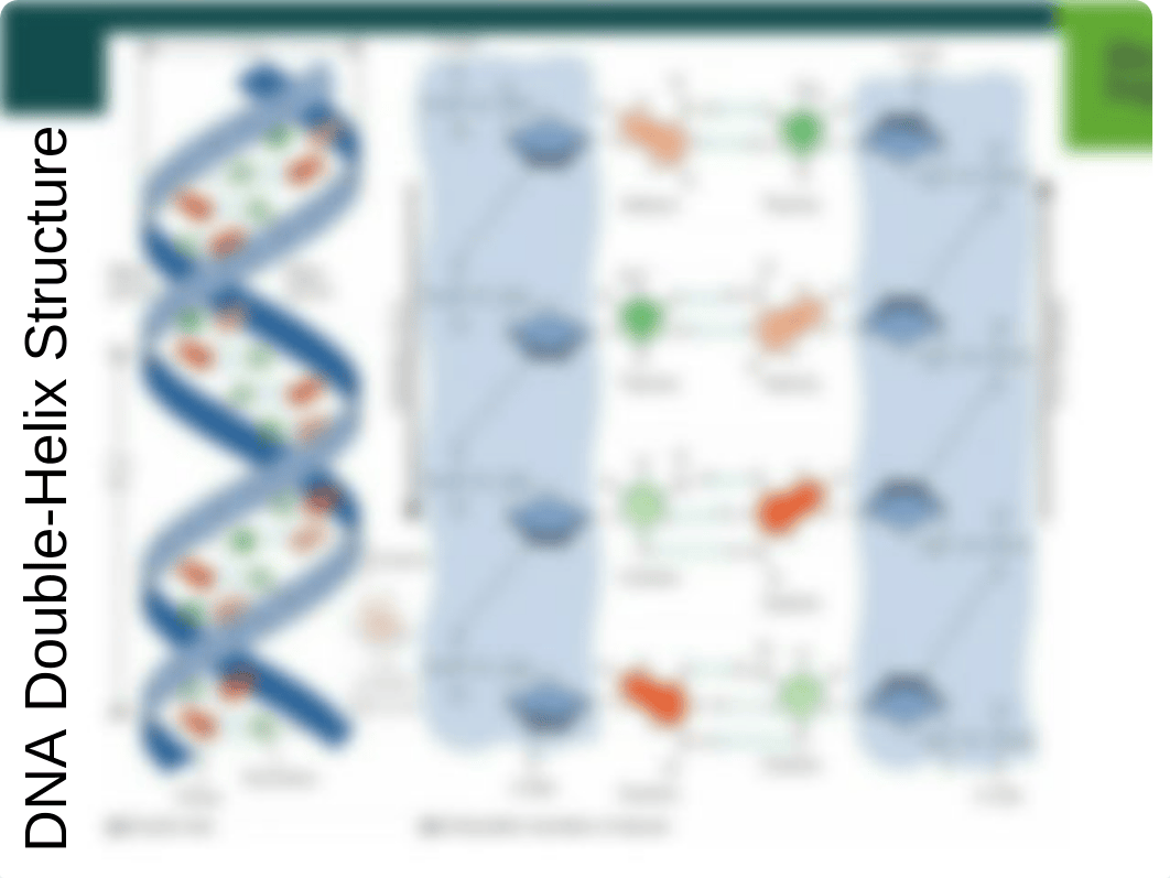 4+Ch,+Cell+Structure+student+f15_d2n3nyxeadt_page4