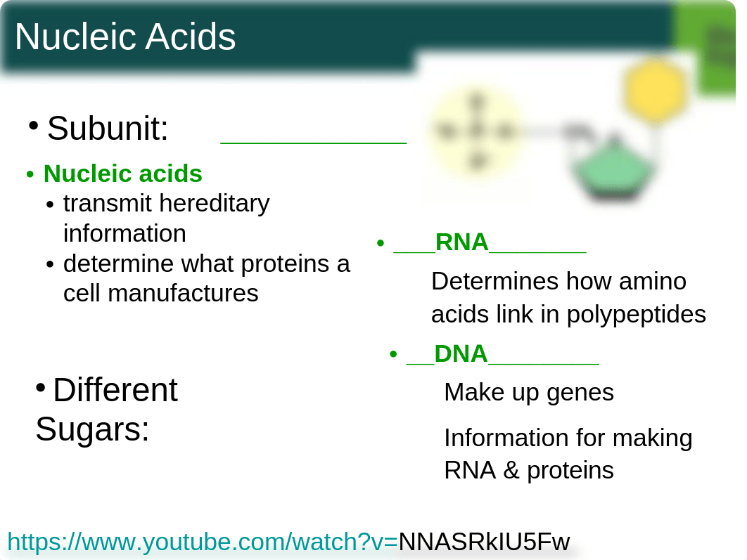 4+Ch,+Cell+Structure+student+f15_d2n3nyxeadt_page1