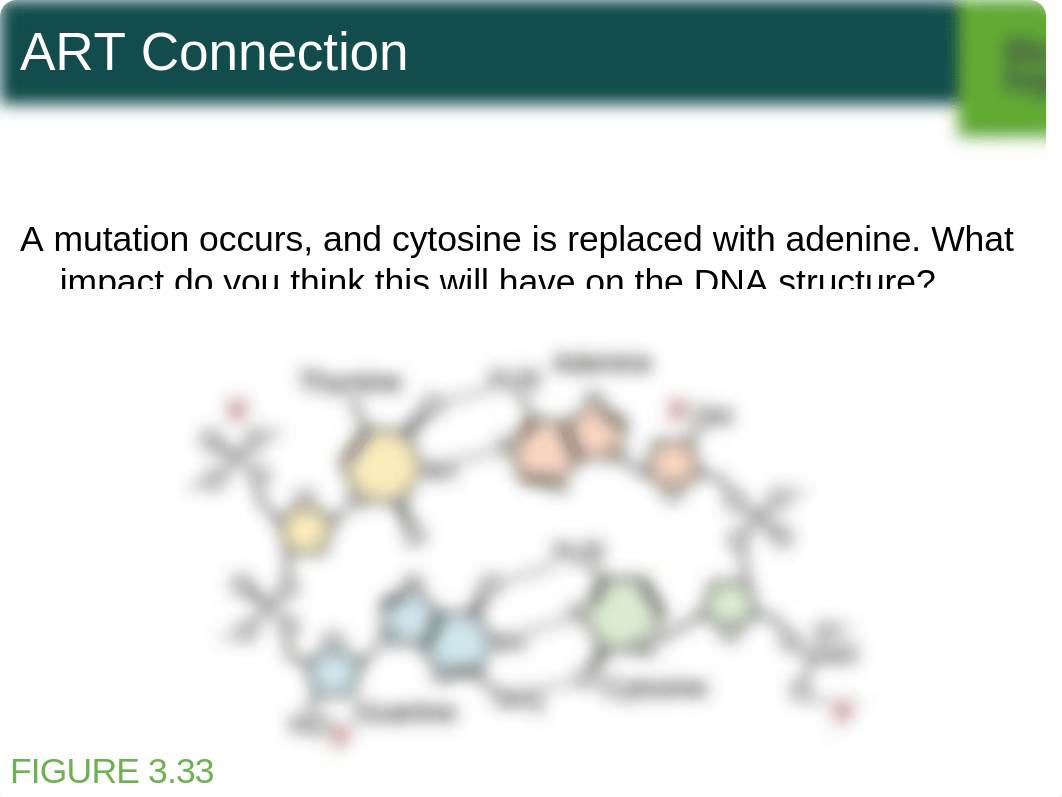 4+Ch,+Cell+Structure+student+f15_d2n3nyxeadt_page5