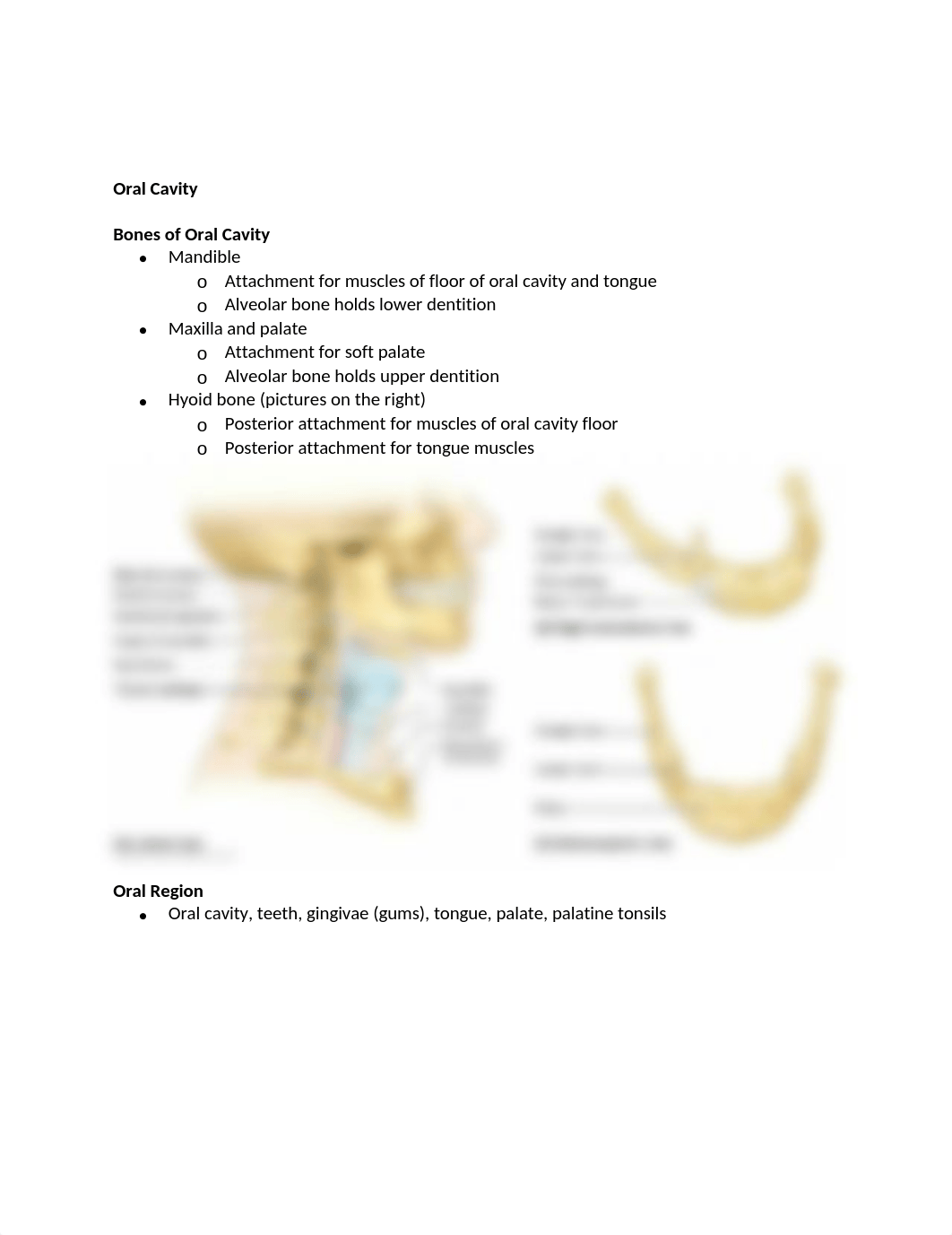 6. Oral Cavity.docx_d2n3oag0jnw_page1