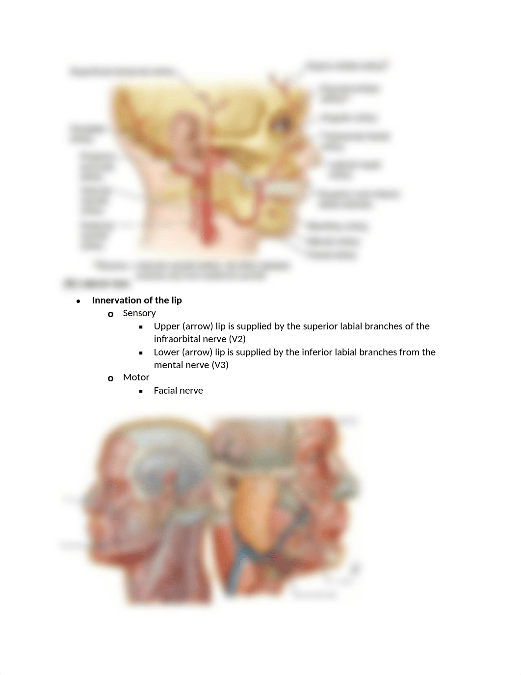 6. Oral Cavity.docx_d2n3oag0jnw_page5