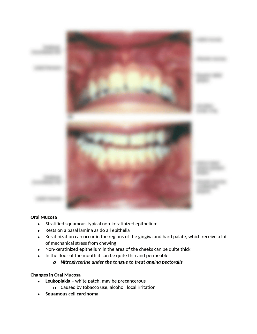 6. Oral Cavity.docx_d2n3oag0jnw_page3