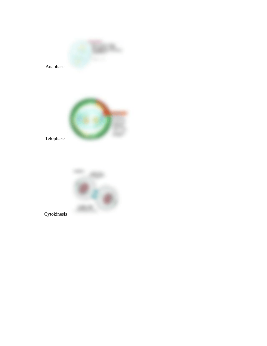 GB_1655_L06_MitosisAndMeiosis (1).pdf_d2n6uvisgyb_page3