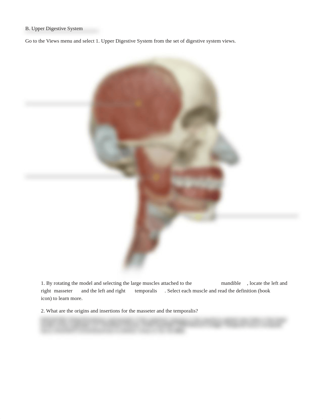 lab manual_digestive_atlas.pdf_d2n8j7gmg12_page3