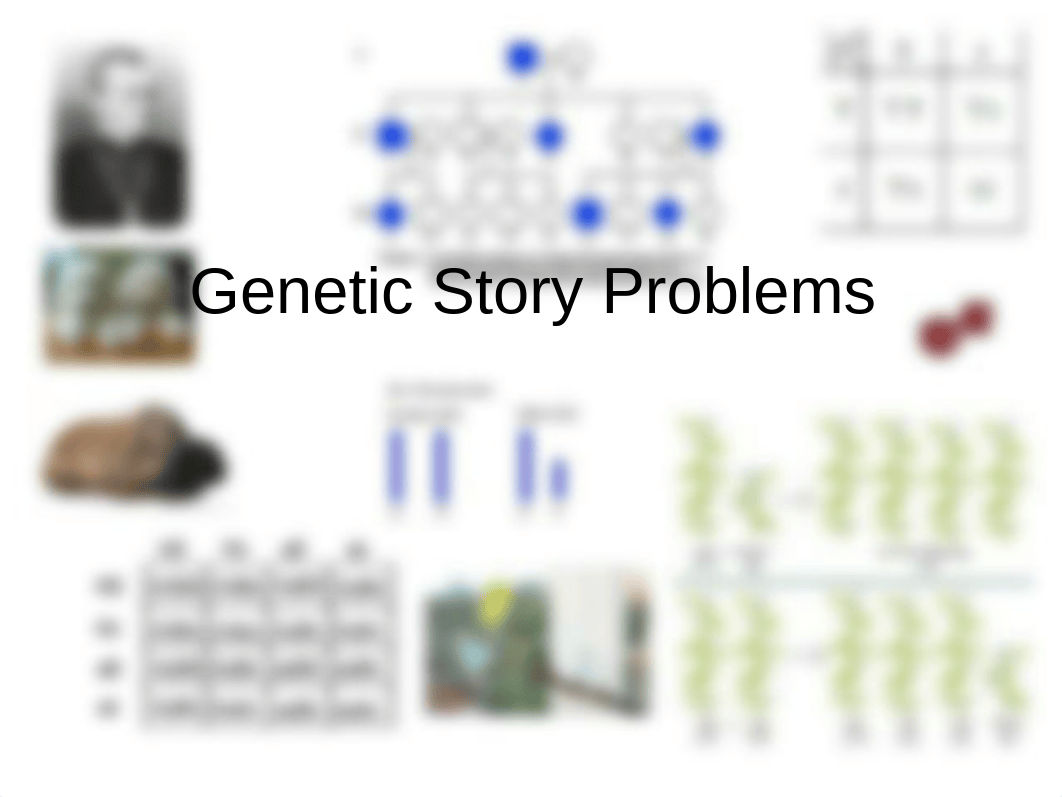 Ch 10 Genetic Story Problems II_d2na1499hc6_page1