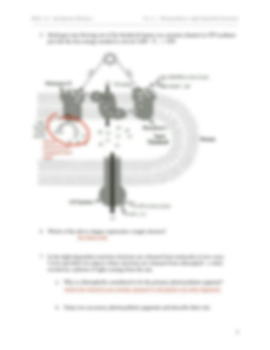 Ch. 9_1 Photosynthesis_ Light-Dependent Reactions.pdf_d2nopg1lzi2_page3