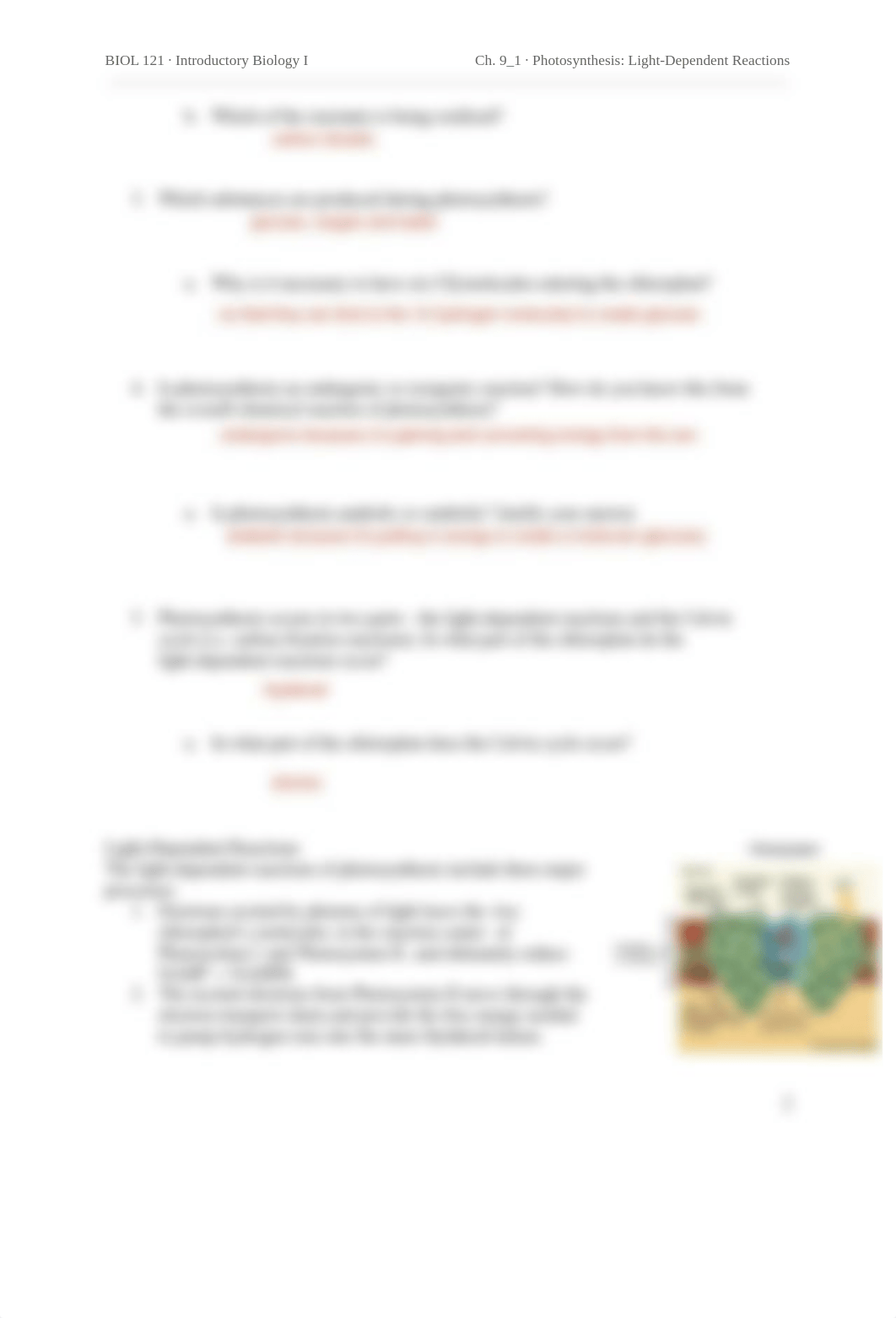 Ch. 9_1 Photosynthesis_ Light-Dependent Reactions.pdf_d2nopg1lzi2_page2