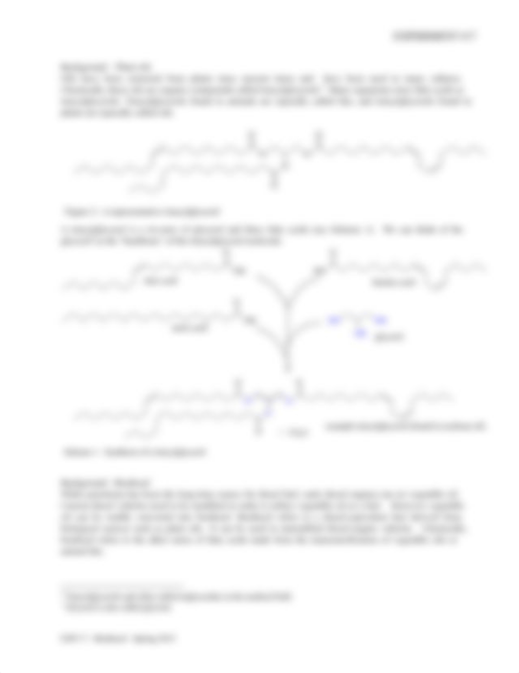 EXP 17 - Biodiesel - Spring 2015 (1).pdf_d2nyxka78ef_page3